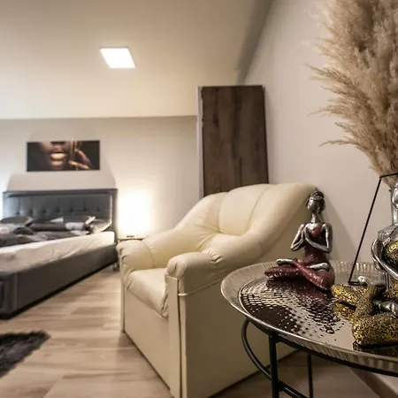 Villa Nr8 Premium Vendeghaz Makó