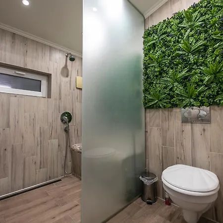 Nr8 Premium Vendeghaz Villa *