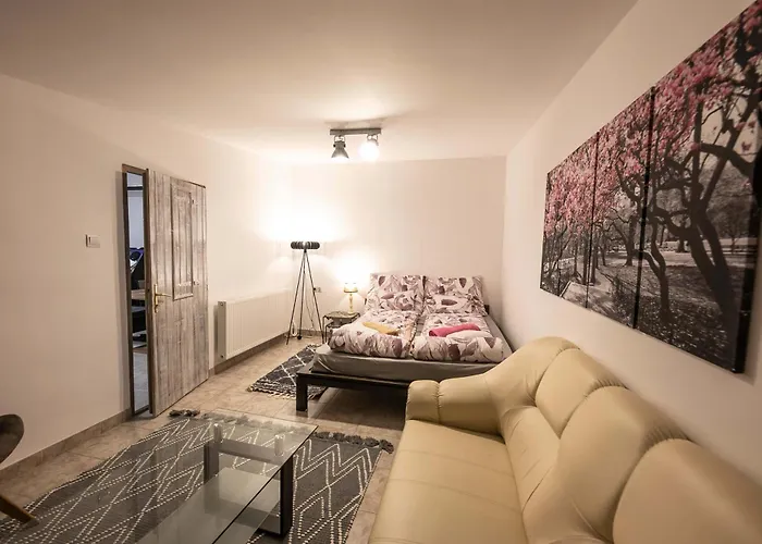 Willa Nr8 Premium Vendeghaz Makó