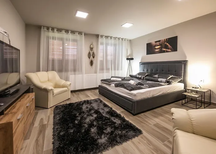 Nr8 Premium Vendeghaz Willa Makó